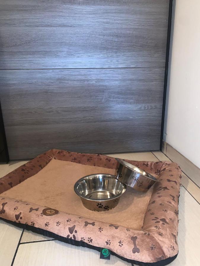 Apartment Owl Kořenov Dış mekan fotoğraf