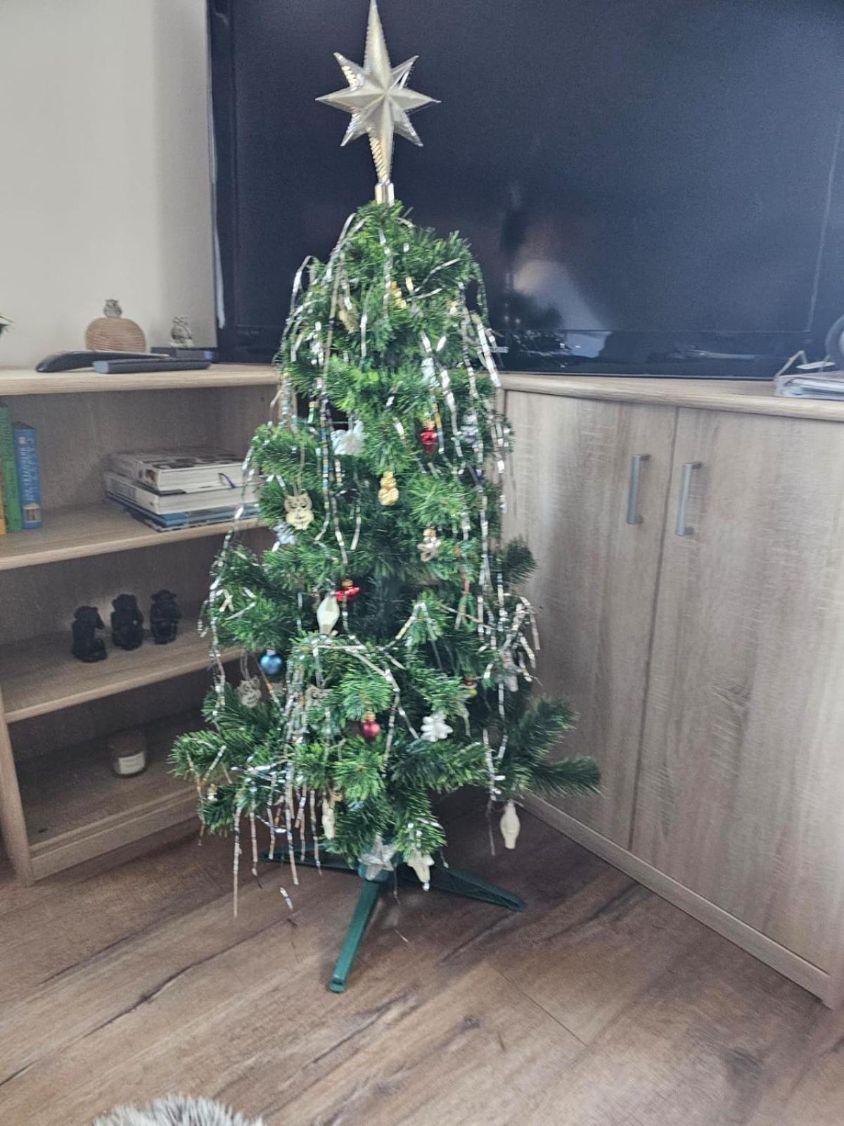 Apartment Owl Kořenov Dış mekan fotoğraf
