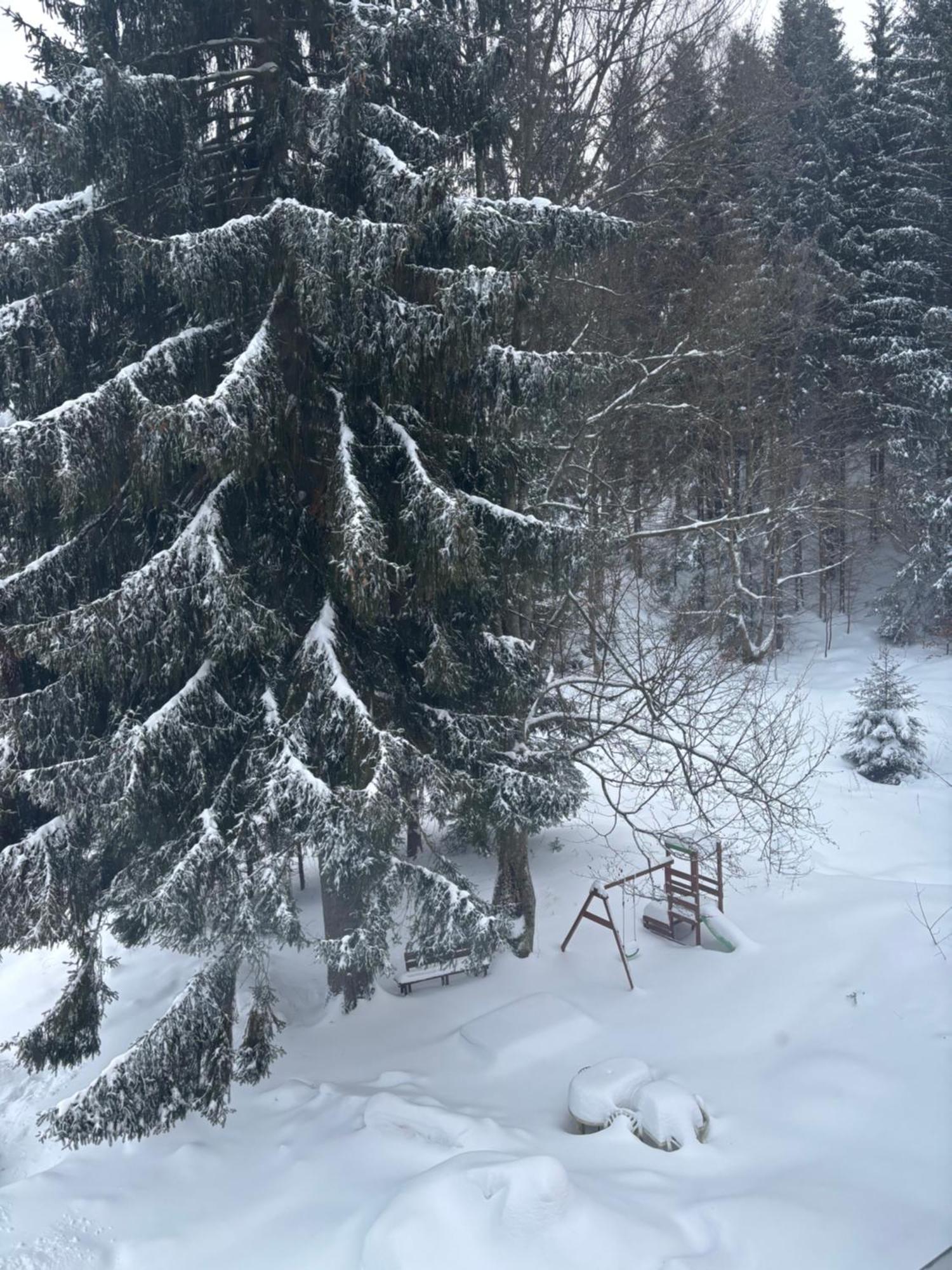 Apartment Owl Kořenov Dış mekan fotoğraf